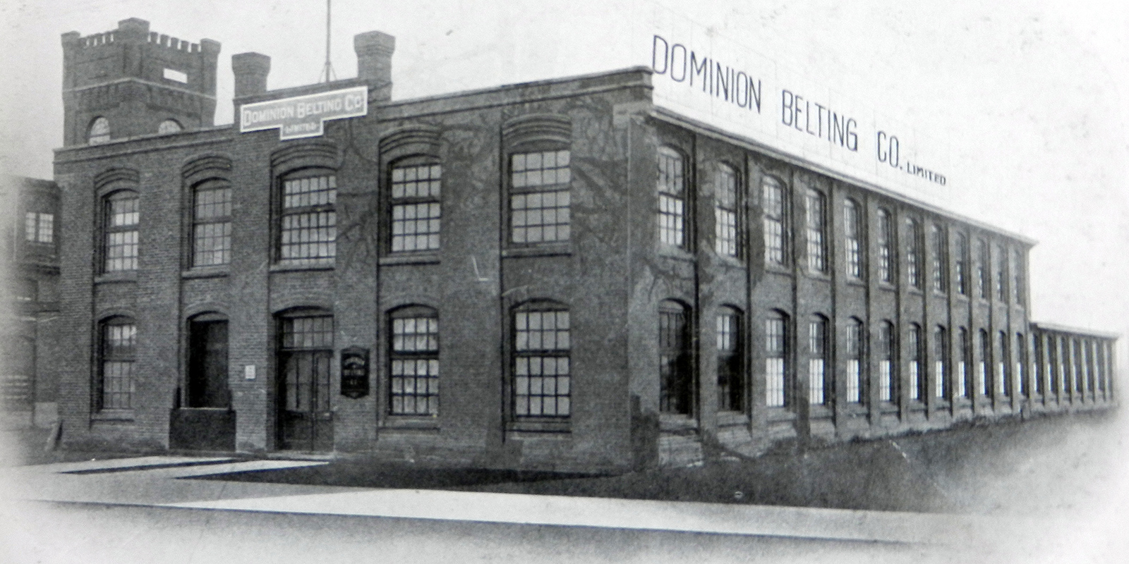 Imperial DBC plant photo