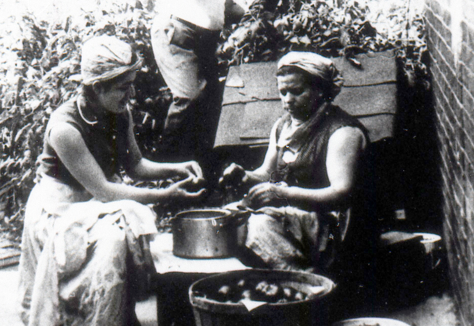 Preparing tomato paste on a warm summer's day