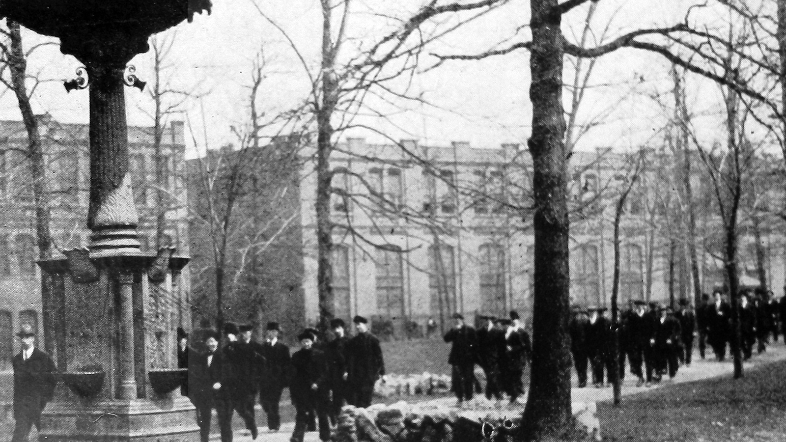 Westinghouse and Woodlands Park